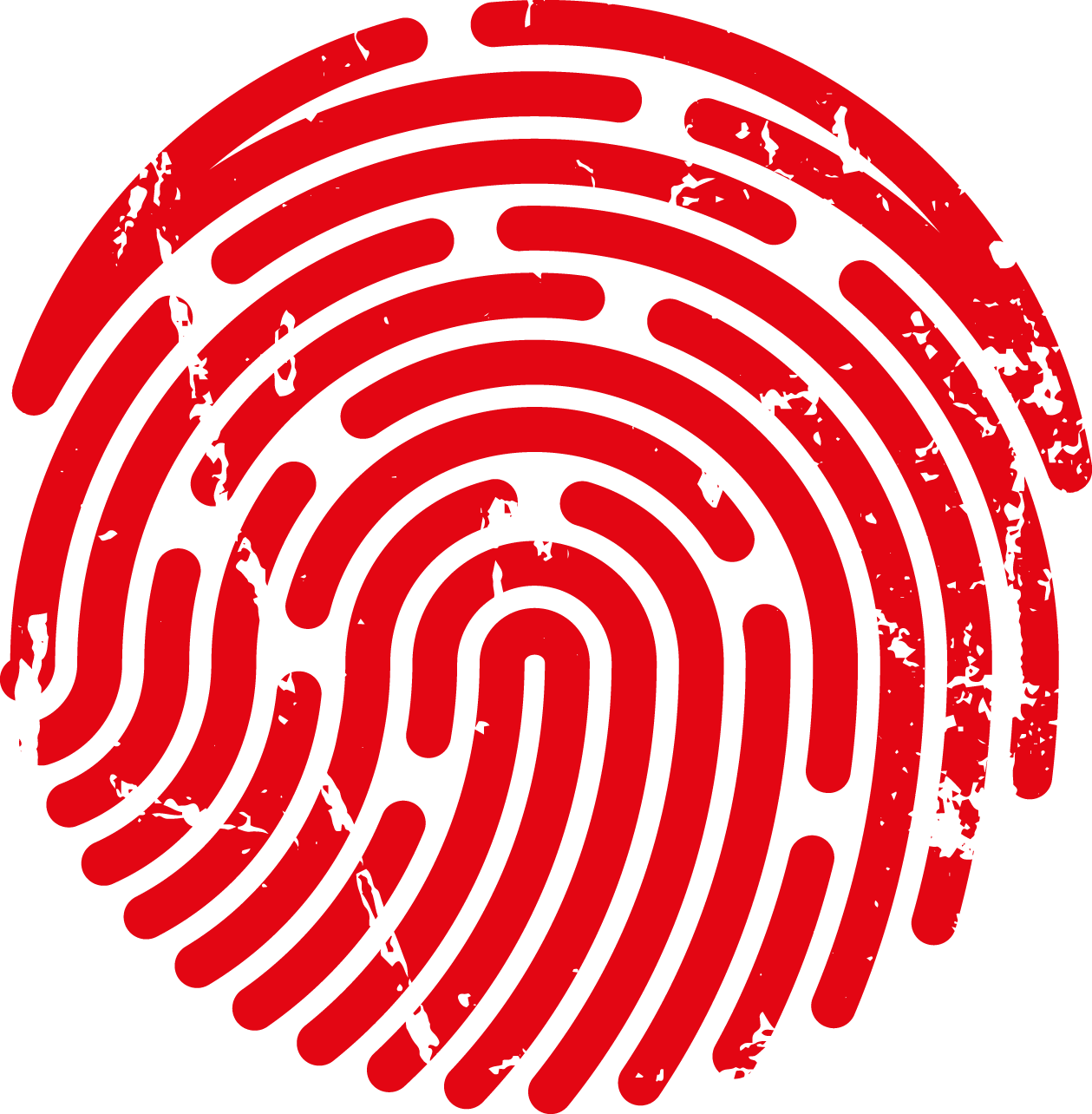 Franchissez tous les obstacles